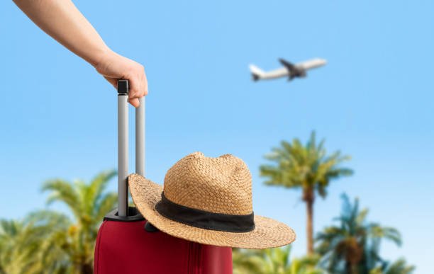 istockphoto 1497396873 612x612