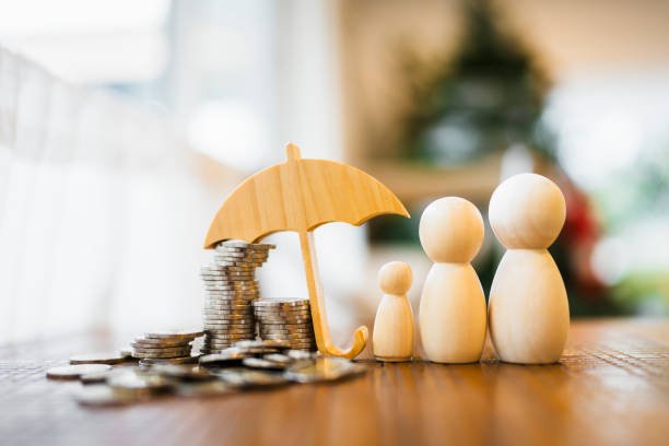 istockphoto 1961395797 612x612