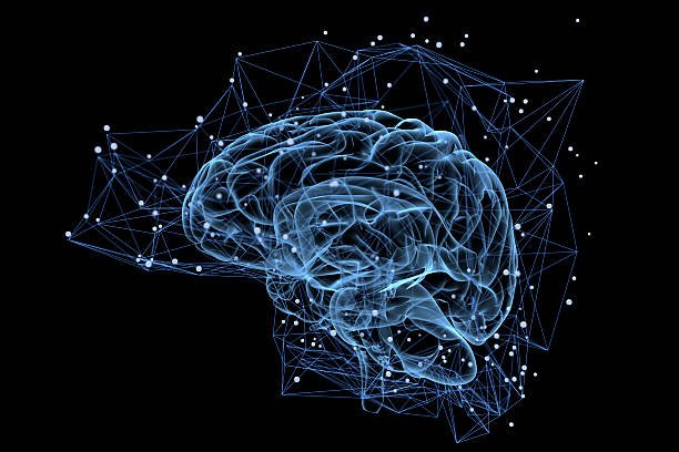 Cerveau NeuroSEO - science du choix