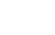 logo ns white